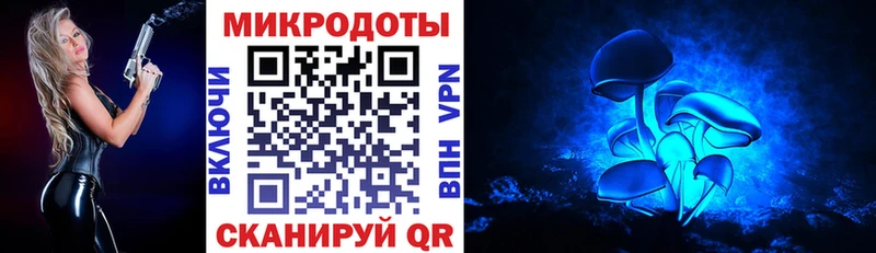 blacksprut сайт где найти наркотики Шилка Псилоцибиновые грибы мицелий